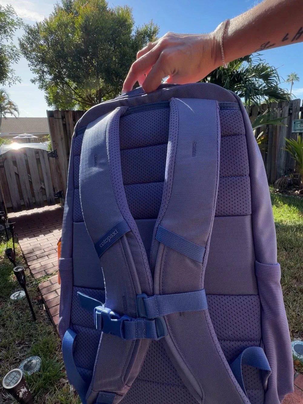 NWT Cotopaxi Allpa 18L Daypack Backpack Aster Purple Travel Laptop Bag